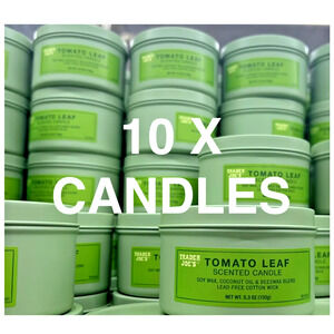 10-PACK TOMATO LEAF SCENTED CANDLE FROM TRADER JOES NEW IN BOX